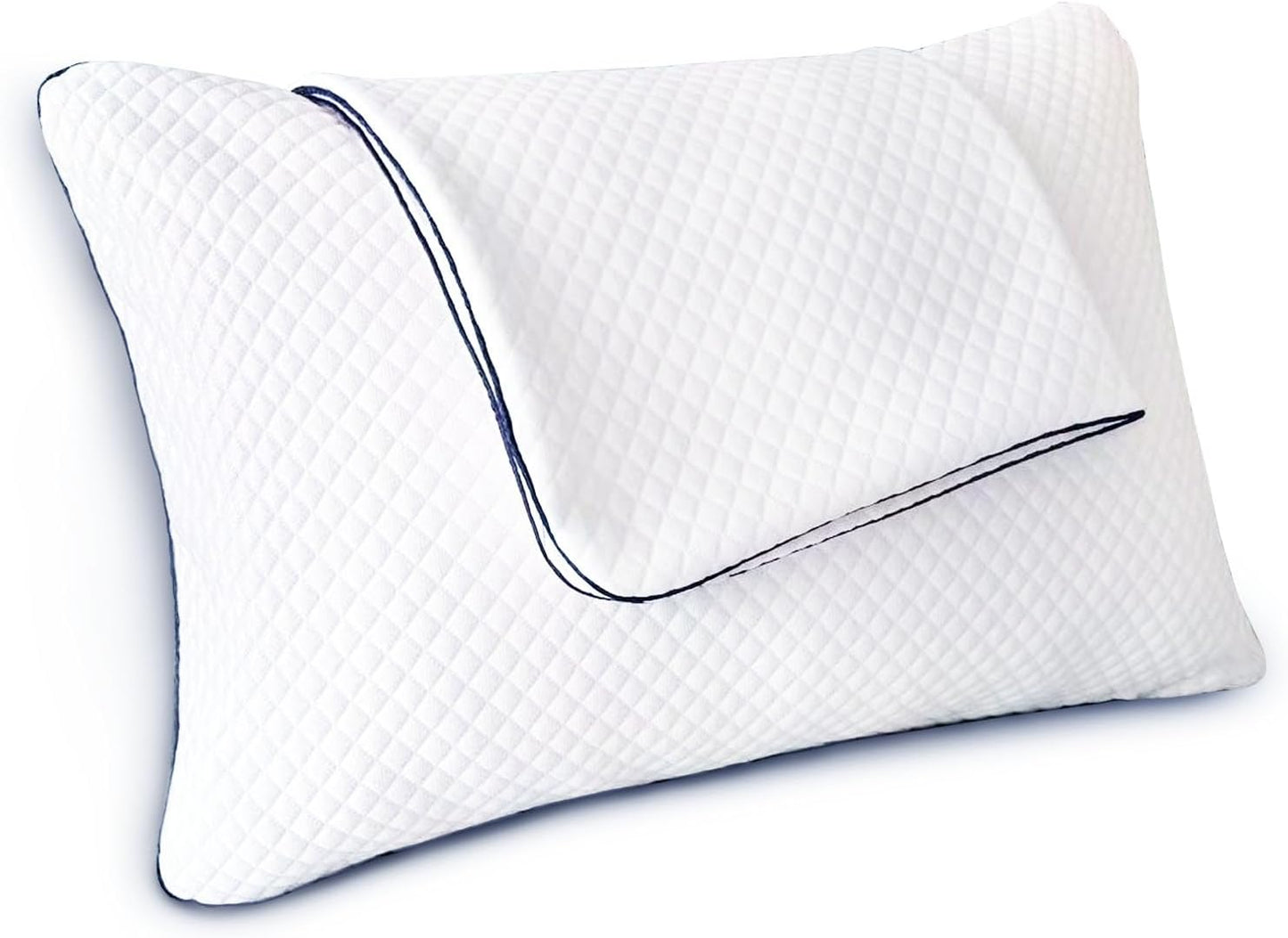 Pillow Protectors with Zipper Standard Size Set of 2 20x27in